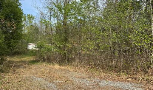 Photo #30 of 6988 Salem Chapel, Walnut Cove, NC 62.6 acres