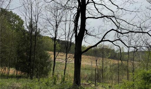 Photo #14 of 6988 Salem Chapel, Walnut Cove, NC 62.6 acres