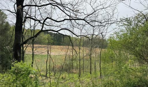 Photo #15 of 6988 Salem Chapel, Walnut Cove, NC 62.6 acres