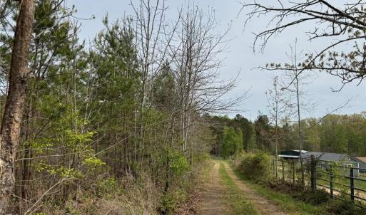 Photo #31 of 6988 Salem Chapel, Walnut Cove, NC 62.6 acres