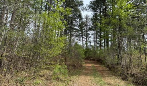 Photo #29 of 6988 Salem Chapel, Walnut Cove, NC 62.6 acres