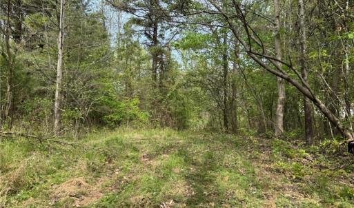 Photo #8 of 6988 Salem Chapel, Walnut Cove, NC 62.6 acres