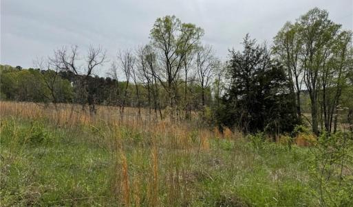 Photo #25 of 6988 Salem Chapel, Walnut Cove, NC 62.6 acres