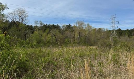 Photo #21 of 6988 Salem Chapel, Walnut Cove, NC 62.6 acres