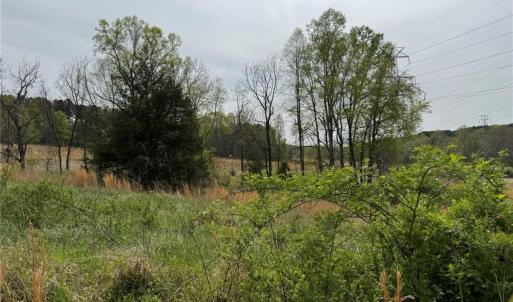 Photo #23 of 6988 Salem Chapel, Walnut Cove, NC 62.6 acres