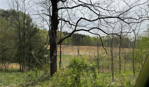 Photo #27 of 6988 Salem Chapel, Walnut Cove, NC 62.6 acres