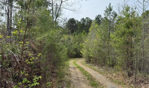Photo #2 of 6988 Salem Chapel, Walnut Cove, NC 62.6 acres