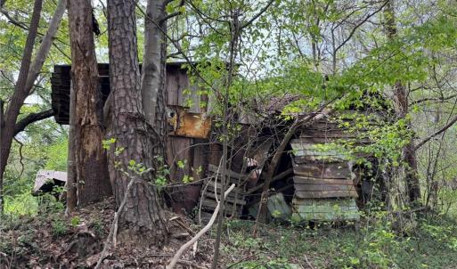 Photo #6 of 6988 Salem Chapel, Walnut Cove, NC 62.6 acres