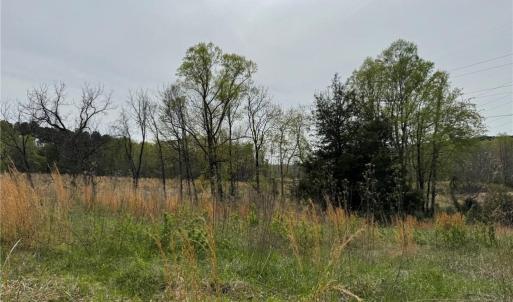 Photo #16 of 6988 Salem Chapel, Walnut Cove, NC 62.6 acres