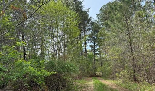 Photo #3 of 6988 Salem Chapel, Walnut Cove, NC 62.6 acres
