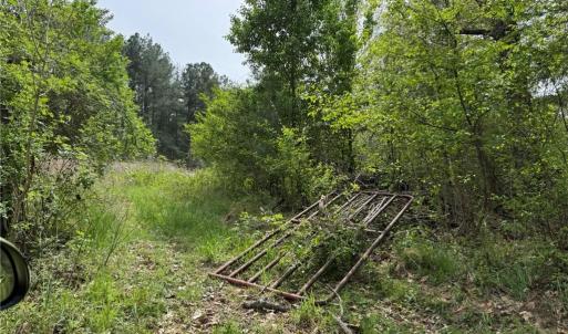 Photo #28 of 6988 Salem Chapel, Walnut Cove, NC 62.6 acres