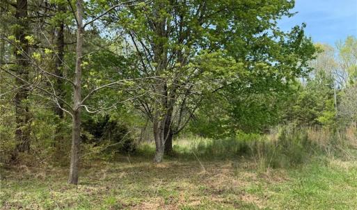 Photo #5 of 6988 Salem Chapel, Walnut Cove, NC 62.6 acres