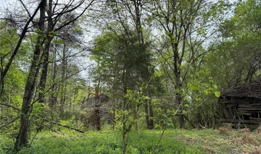 Photo #10 of 6988 Salem Chapel, Walnut Cove, NC 62.6 acres