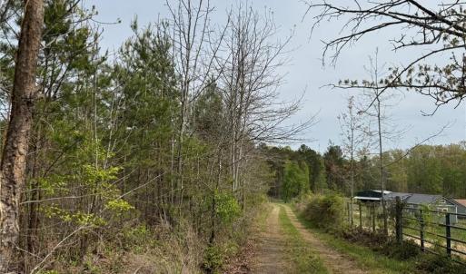 Photo #31 of 6988 Salem Chapel, Walnut Cove, NC 62.6 acres