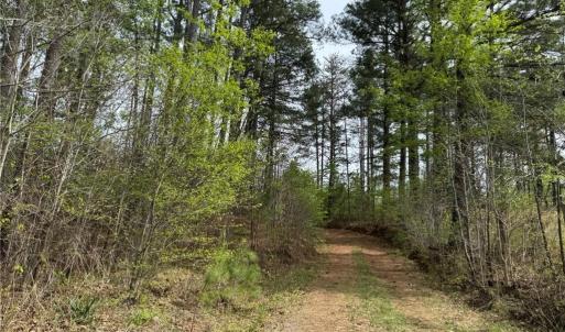 Photo #29 of 6988 Salem Chapel, Walnut Cove, NC 62.6 acres