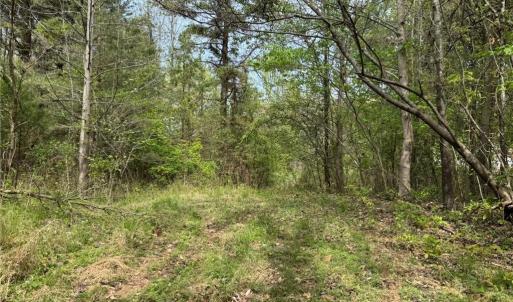 Photo #8 of 6988 Salem Chapel, Walnut Cove, NC 62.6 acres