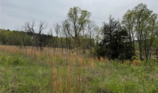 Photo #25 of 6988 Salem Chapel, Walnut Cove, NC 62.6 acres