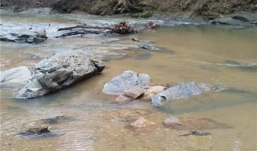 Photo #14 of Fisher, Pinnacle, NC 38.9 acres