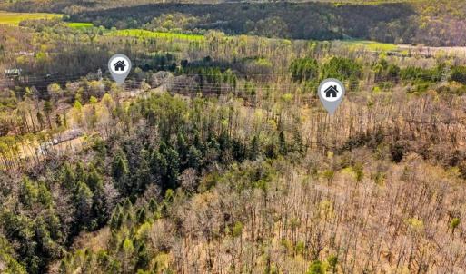 Photo #6 of Fisher, Pinnacle, NC 38.9 acres