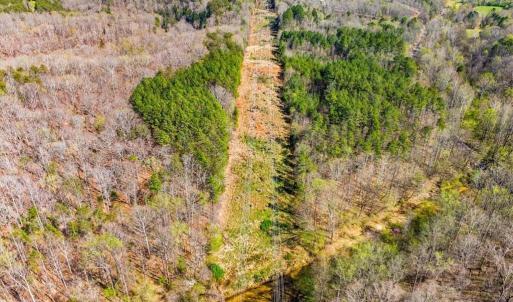 Photo #12 of Fisher, Pinnacle, NC 38.9 acres