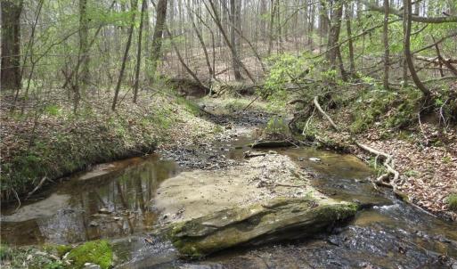Photo #26 of Vernon, Reidsville, NC 230.0 acres