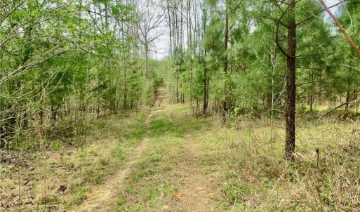 Photo #22 of Vernon, Reidsville, NC 230.0 acres