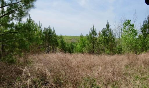 Photo #1 of Vernon, Reidsville, NC 230.0 acres