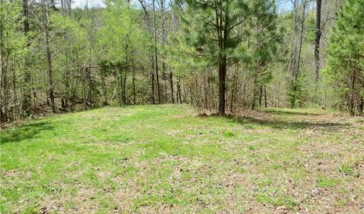 Photo #8 of Vernon, Reidsville, NC 230.0 acres