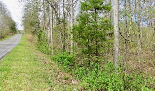 Photo #5 of Vernon, Reidsville, NC 230.0 acres