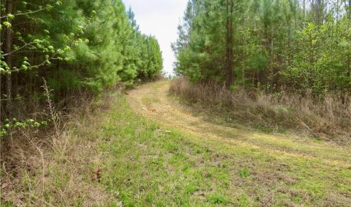 Addit main access trail