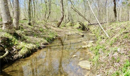 Gorgeous views of one of the Creek crossings