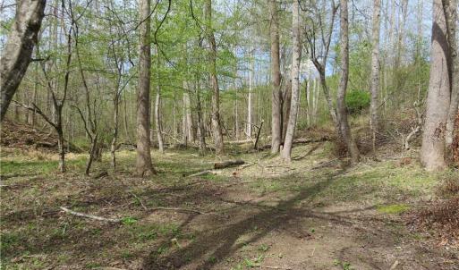 Designated hunting area