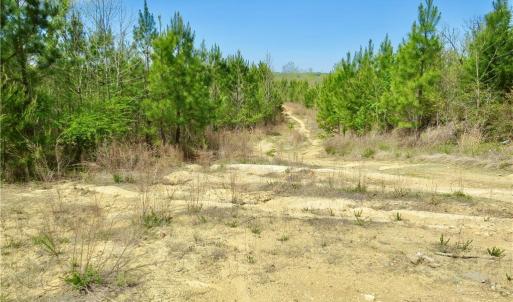 View of another junction area for many access trails