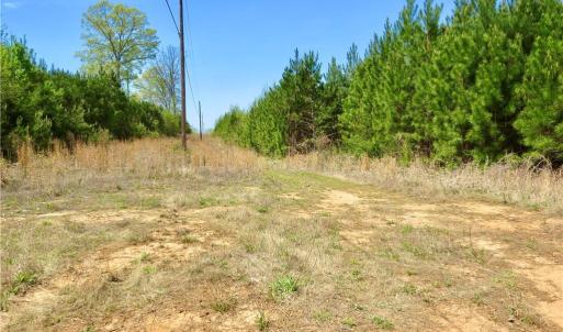 Part of the main access trail and junction for other trails