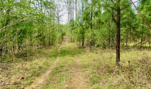 Access trail to Creek