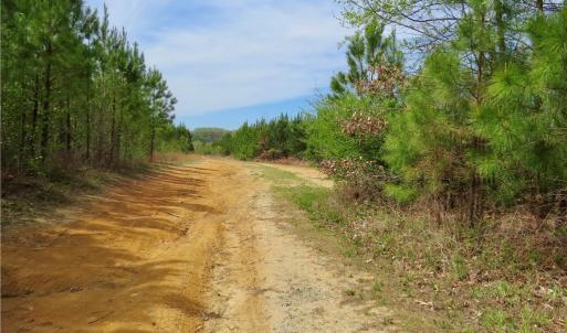 Another view of many of the access trails