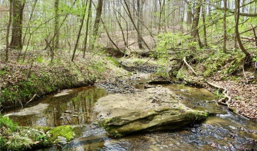 Addit view of Creek