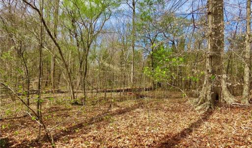 Hunting area
