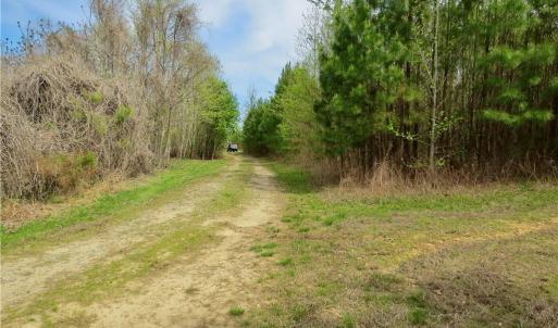 Entrance to main access trail