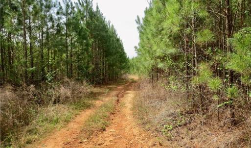 Access Trail