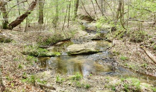 Another Creek View
