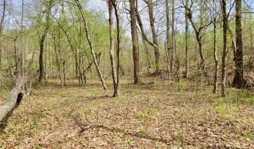Another designated hunting area