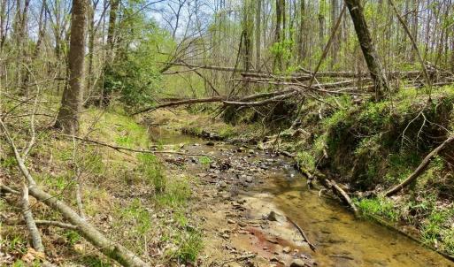 Another Creek view