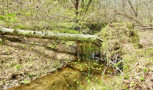 Another Creek View