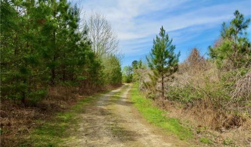Additional access trail