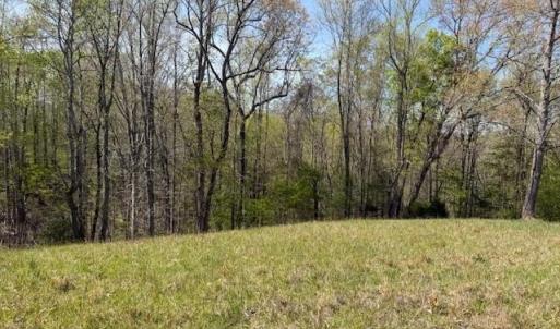 Photo #13 of seven island, Danbury, NC 25.1 acres