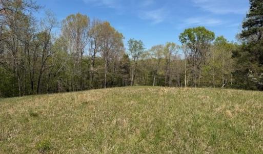 Photo #12 of seven island, Danbury, NC 25.1 acres