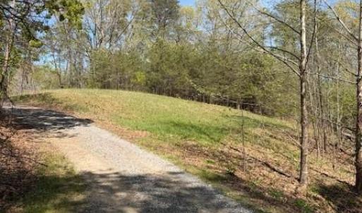 Photo #9 of seven island, Danbury, NC 25.1 acres