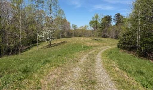 Photo #10 of seven island, Danbury, NC 25.1 acres