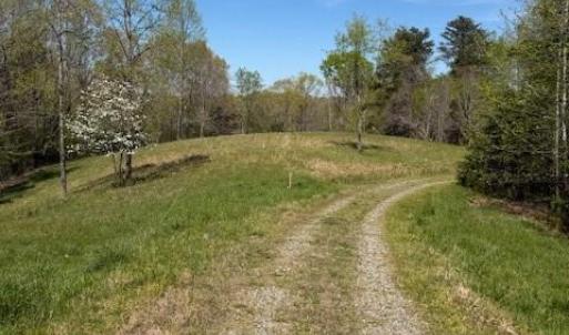 Photo #11 of seven island, Danbury, NC 25.1 acres